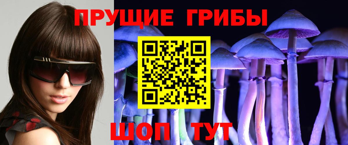 Галлюциногенные грибы Magic Shrooms  Вход с VPN  Псилоцибиновые грибы GOLDEN TEACHER  Кимры 